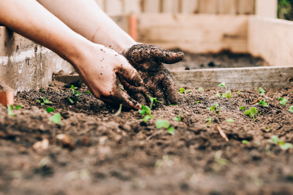 What is Nature-Based Spirituality? Image