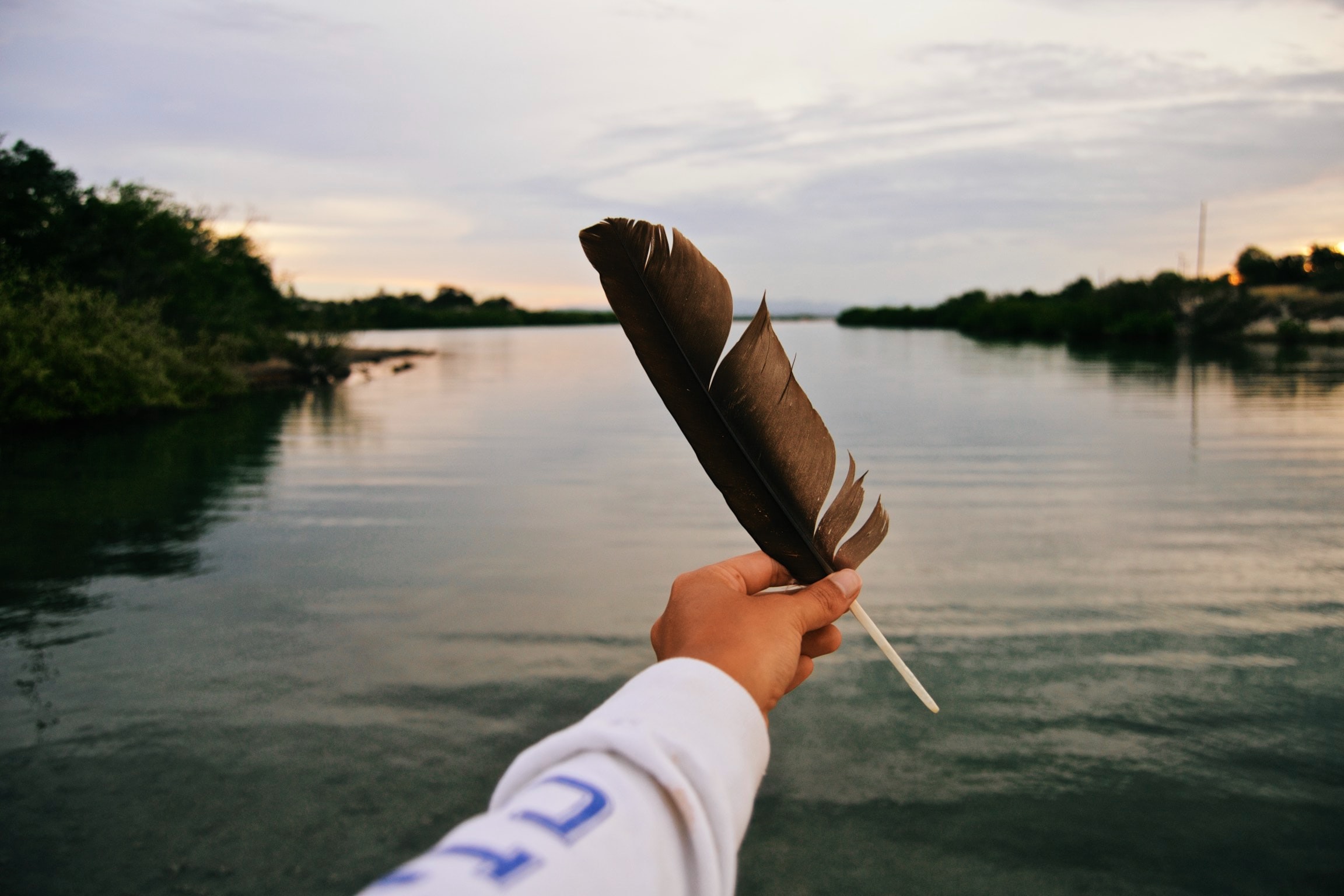 Feather Reading